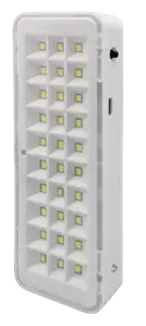 Luz Emergencia Blanco