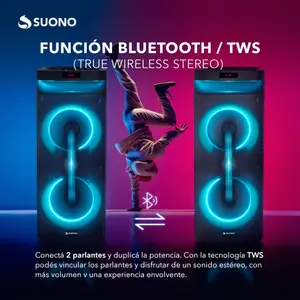 Parlante 2X10" Negro