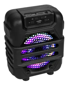 Parlante Portátil Karaoke 6,5"