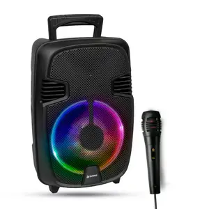 Parlante Portátil Karaoke 8"