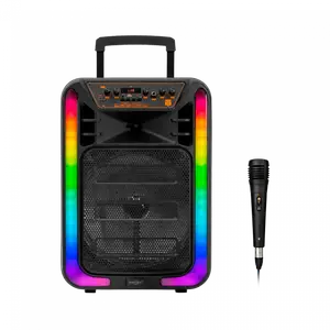 Parlante Luces Led Y Micrófono Negro