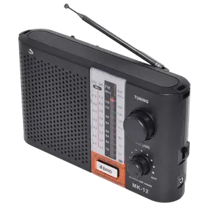 Radio Am/Fm Dual